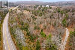 Mix of evergreens and hardwood trees -