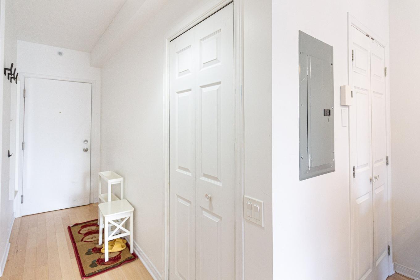 Hall d'entrée/Vestibule - 620-1235 Rue Bishop, Montréal (Ville-Marie), QC - Indoor Photo Showing Other Room