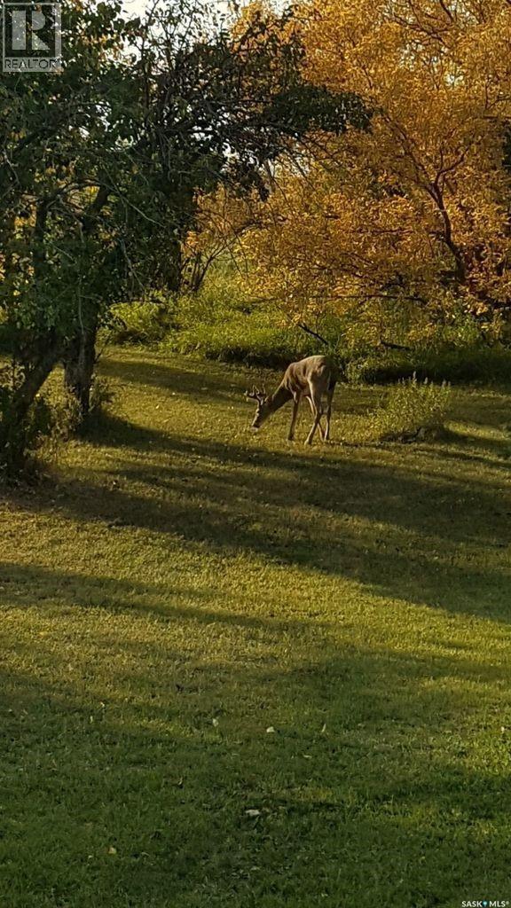 1000 Railway Avenue W, Foam Lake, SK - Outdoor With View