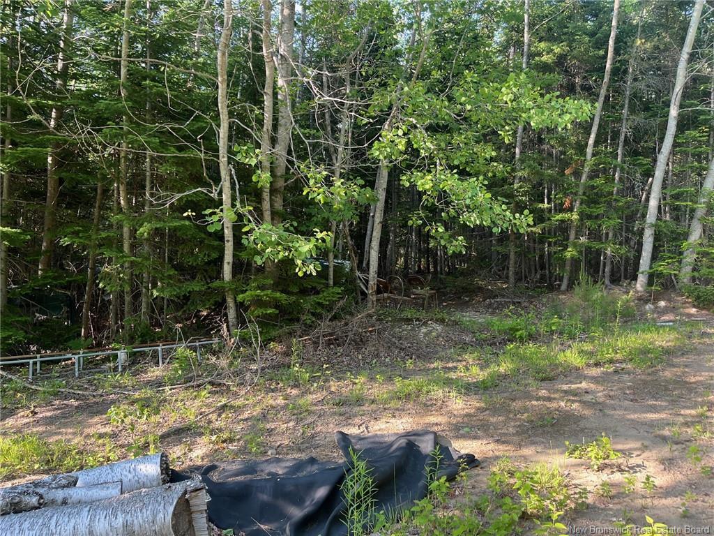 70 Rue Jeanne D'Arc, Rivière-À-La-Truite, NB