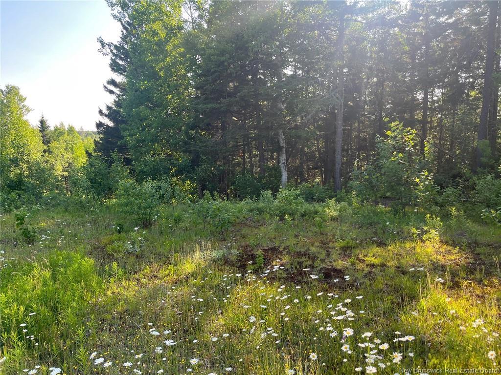 70 Rue Jeanne D'Arc, Rivière-À-La-Truite, NB