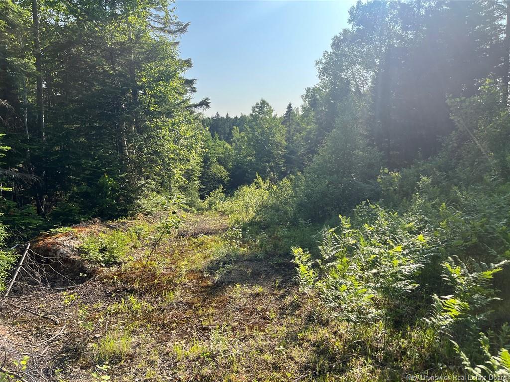 70 Rue Jeanne D'Arc, Rivière-À-La-Truite, NB