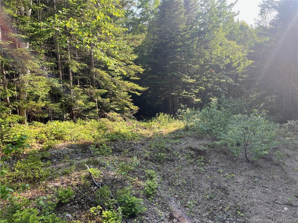 70 Rue Jeanne D'Arc, Rivière-À-La-Truite, NB