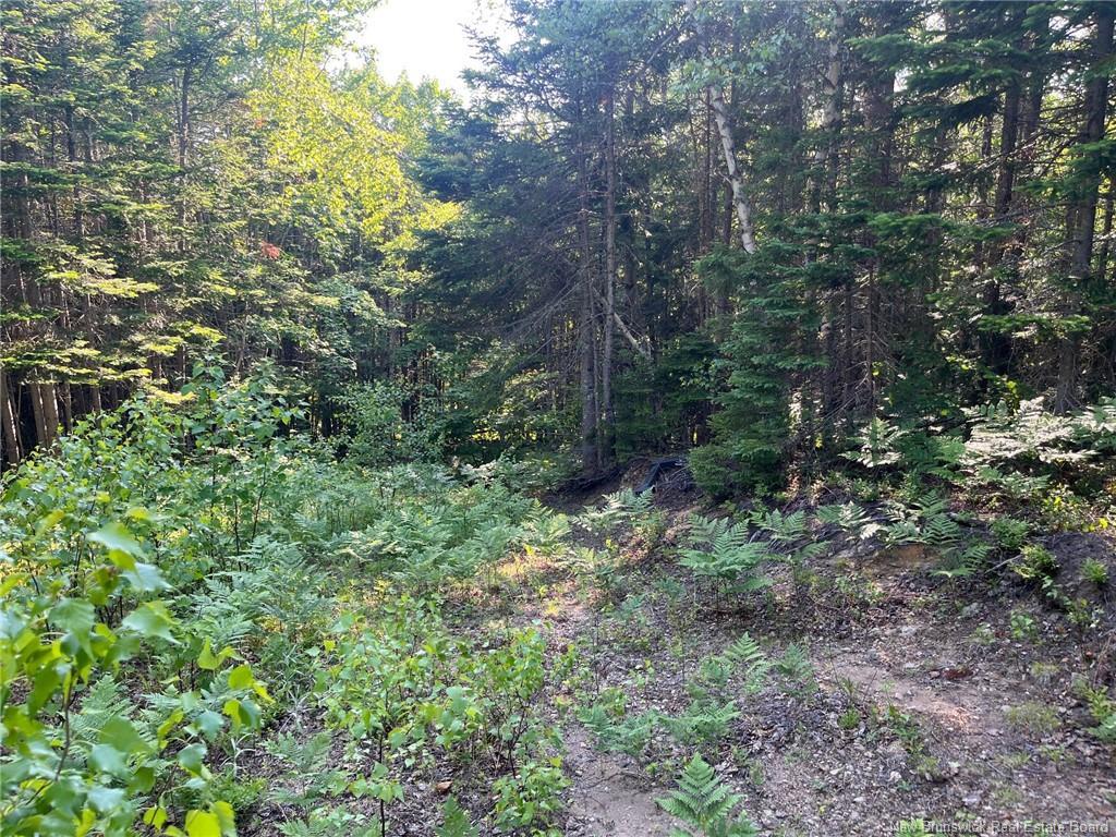 70 Rue Jeanne D'Arc, Rivière-À-La-Truite, NB