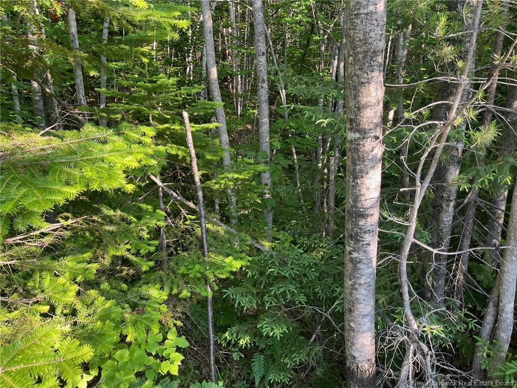 70 Rue Jeanne D'Arc, Rivière-À-La-Truite, NB