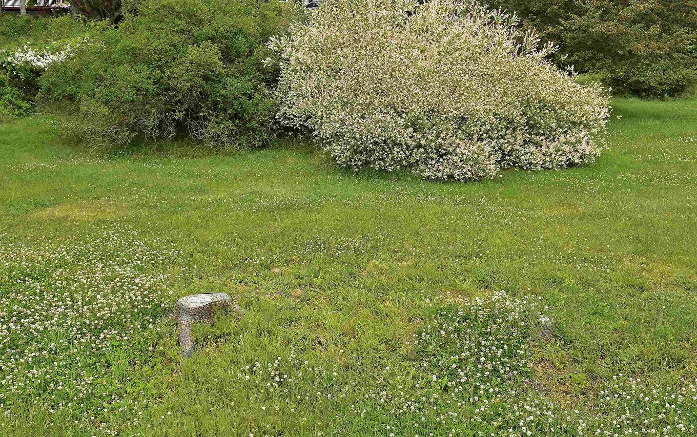 Lot 22-2 Clearway Street, Mahone Bay, NS