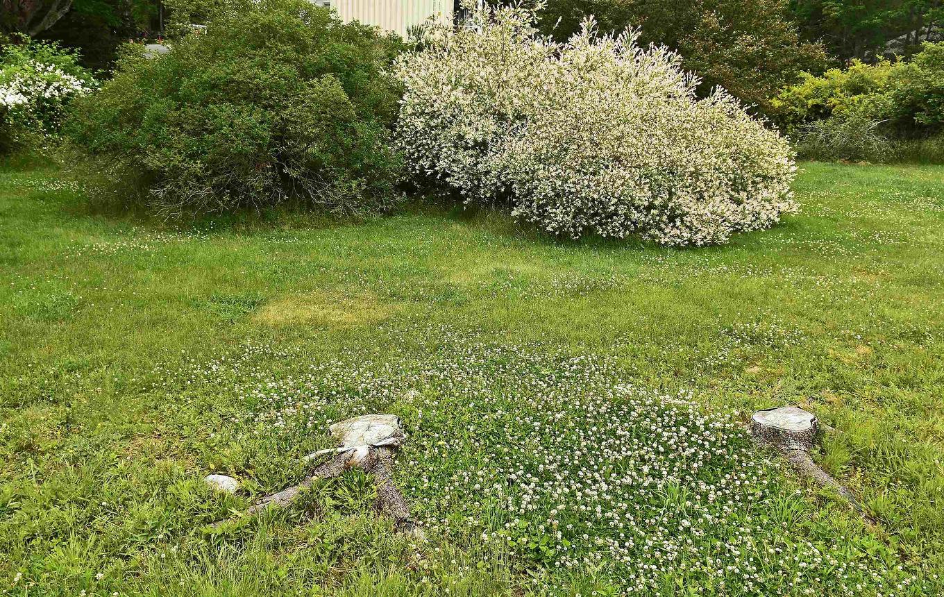 Lot 22-2 Clearway Street, Mahone Bay, NS