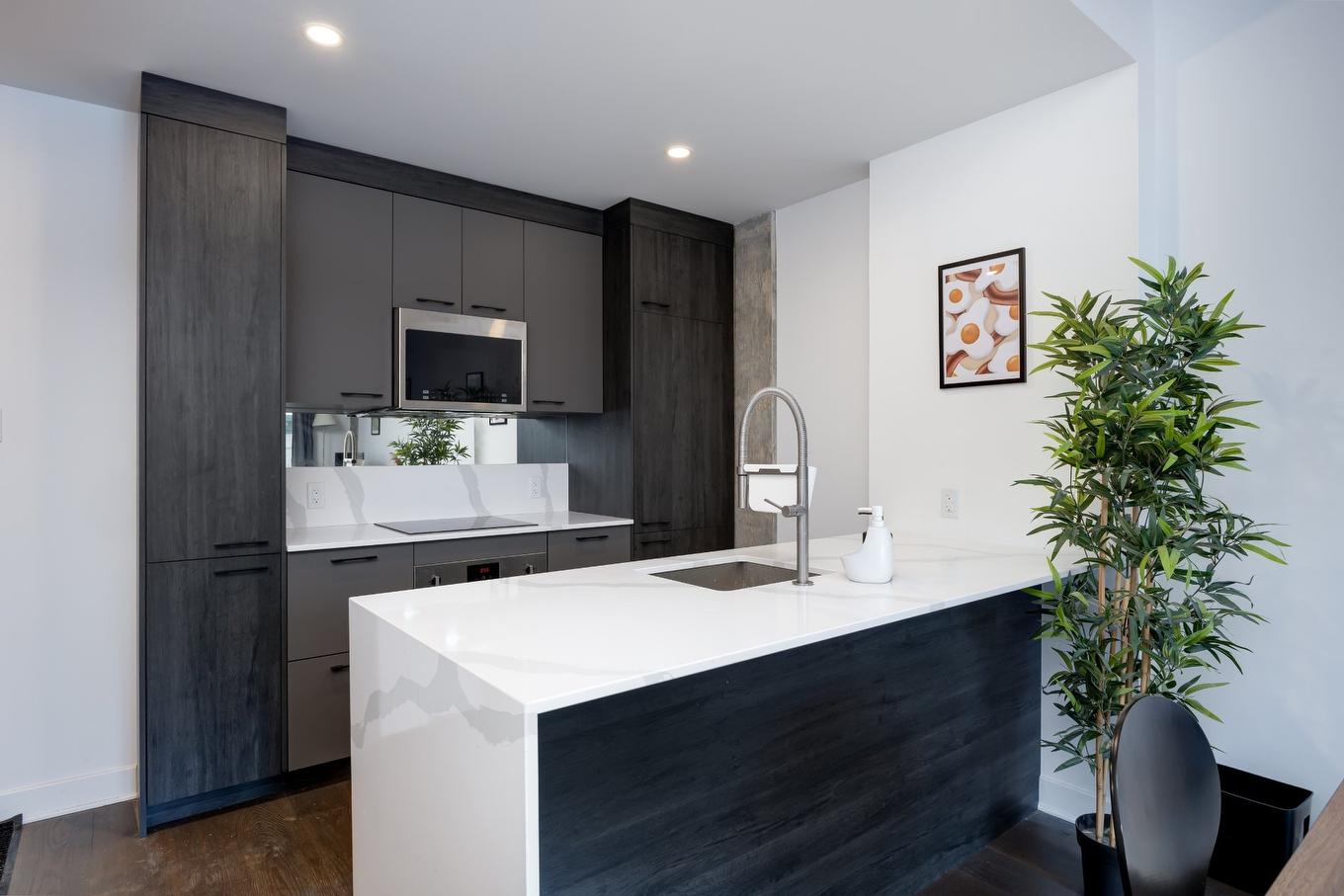 Kitchen - 610-1575 Rue Gareau, Montréal (Ville-Marie), QC - Indoor Photo Showing Kitchen