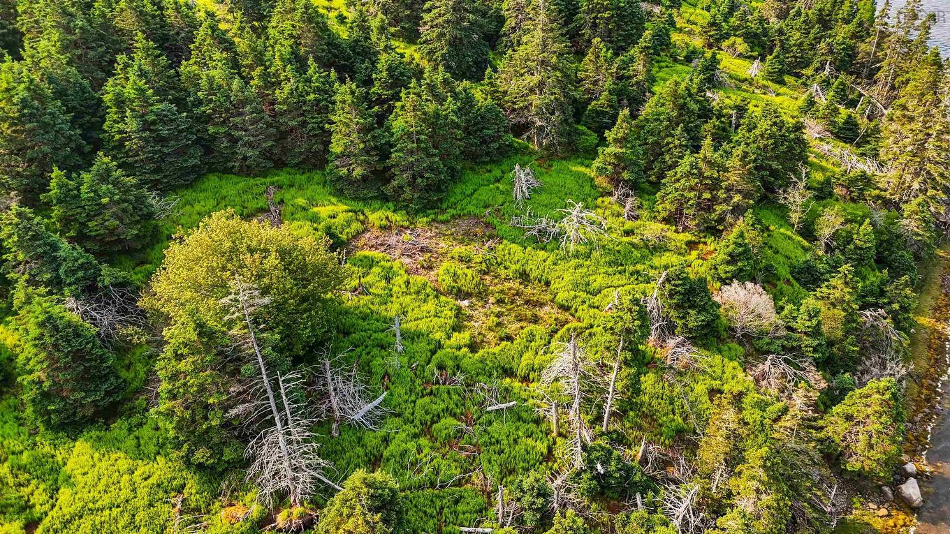 0 Maclellon Island, East Chezzetcook, NS