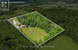6-7 Acres of Hardwood Bush -