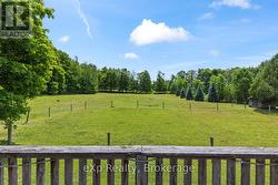 Fenced Pasture -