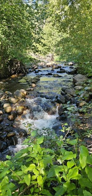 Glencoe Road, West Kelowna, BC