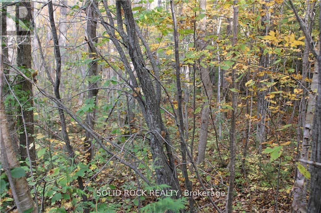 2209 Jochem Road, Edwardsburgh/Cardinal, ON