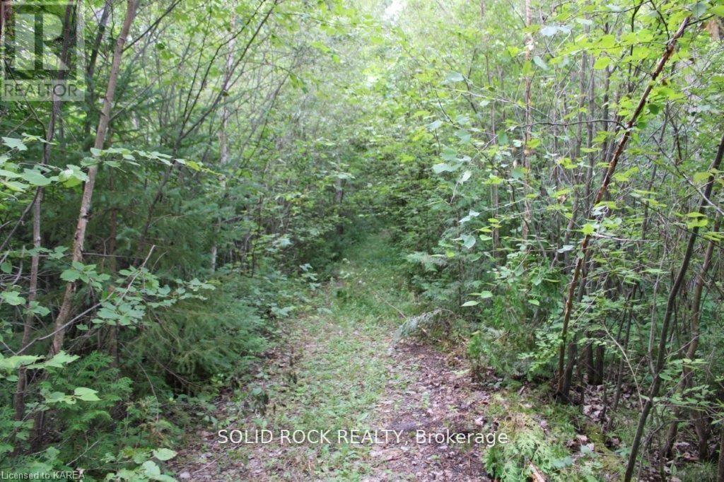 2209 Jochem Road, Edwardsburgh/Cardinal, ON