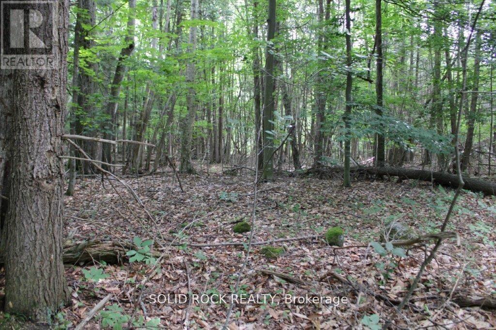 2209 Jochem Road, Edwardsburgh/Cardinal, ON