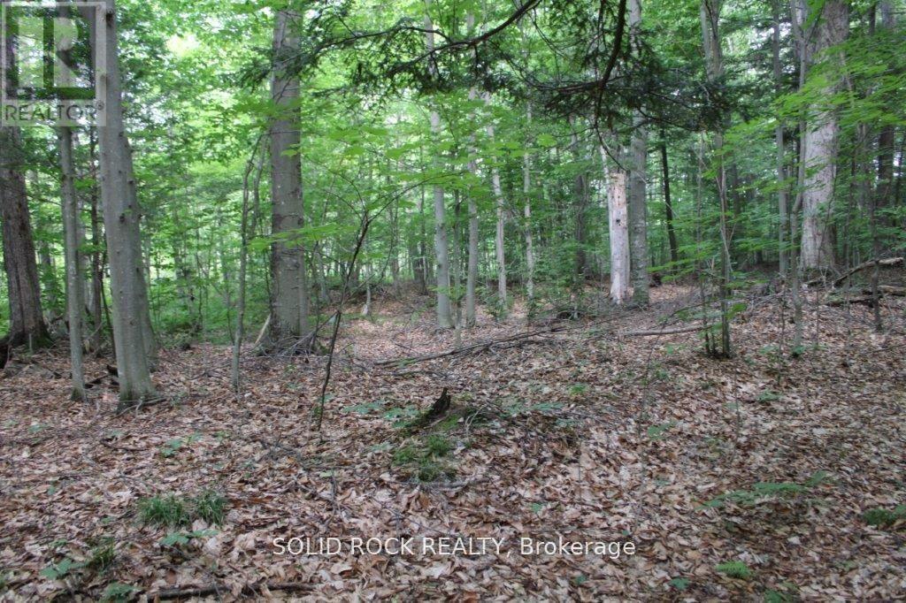 2209 Jochem Road, Edwardsburgh/Cardinal, ON