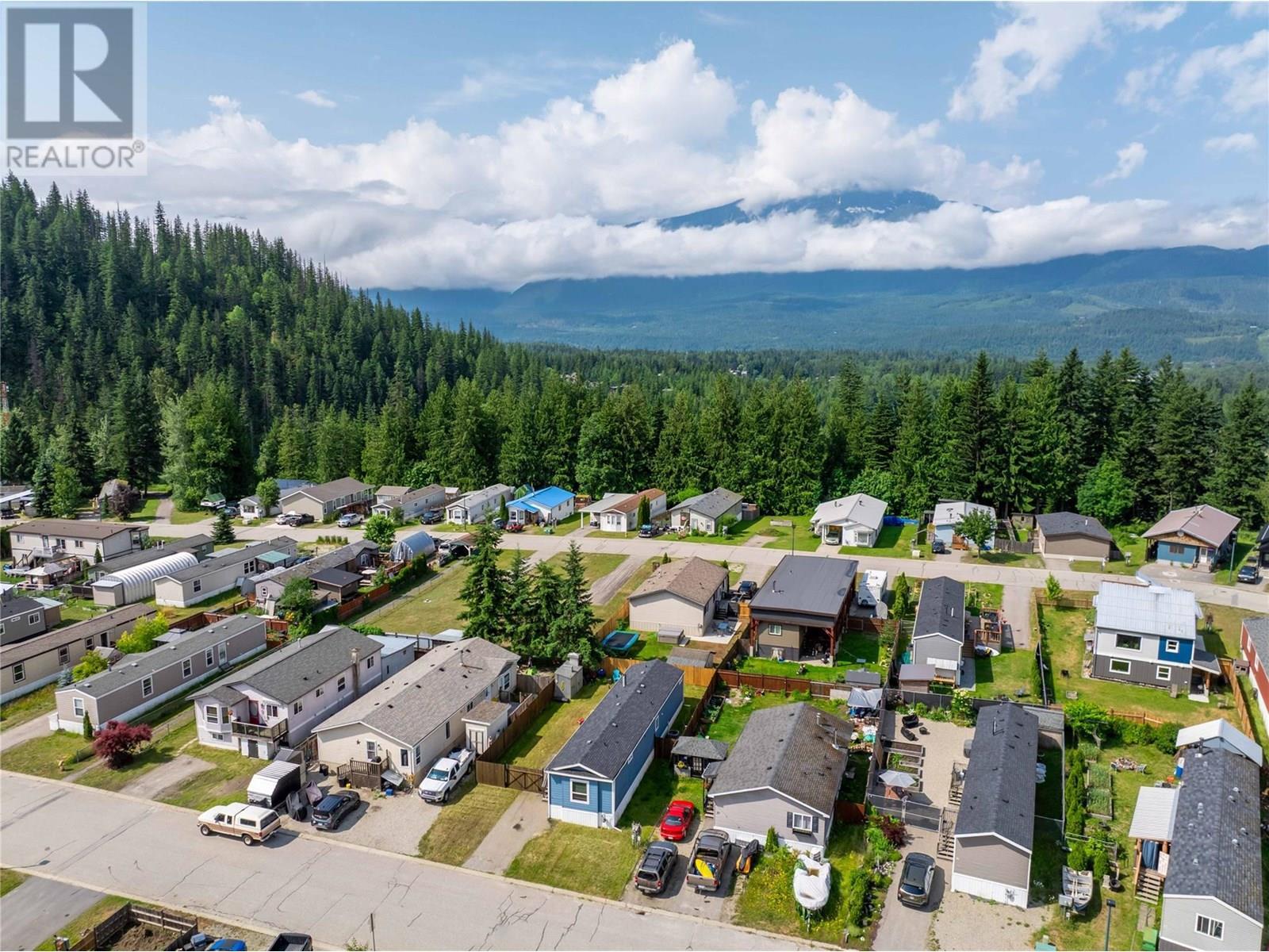 38 Johnson Way, Revelstoke, BC