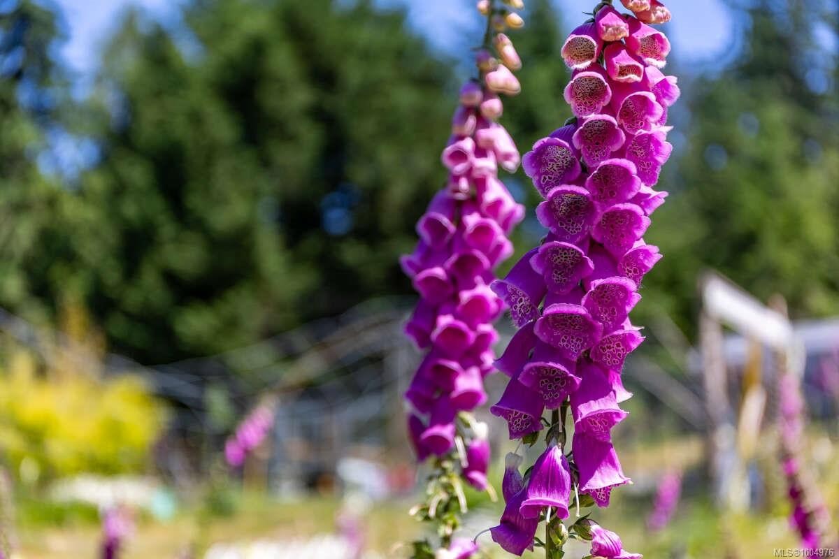 2620 Gunwhale Rd, Pender Island, BC