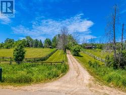 Gorgeous Long Driveway- Paddocks at Front & Back -