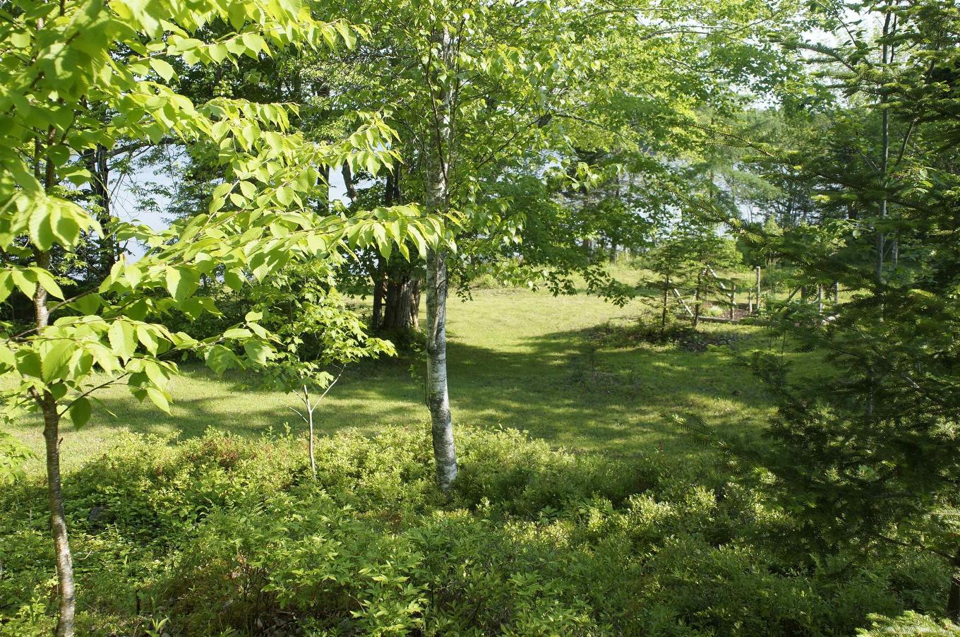 4031 Loch Lomond Road, Loch Lomond, NS