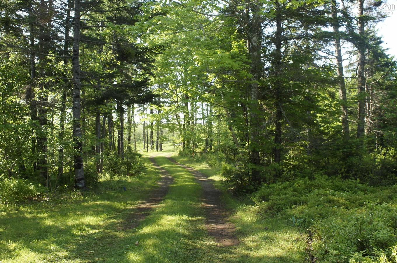 4031 Loch Lomond Road, Loch Lomond, NS