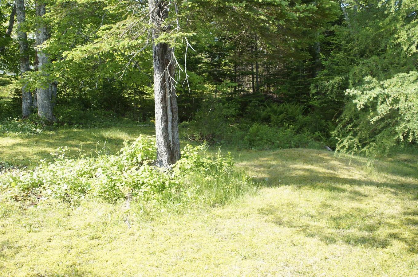 4031 Loch Lomond Road, Loch Lomond, NS