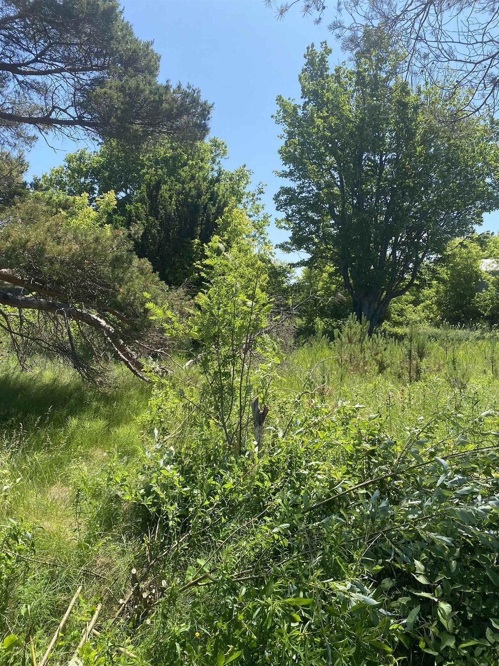 381 Rte 14, Coleman, PE