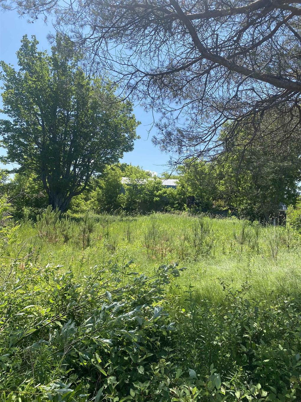 381 Rte 14, Coleman, PE