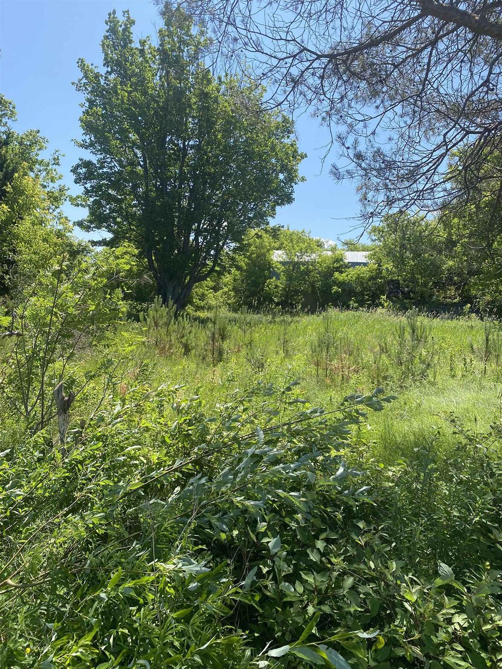 381 Rte 14, Coleman, PE