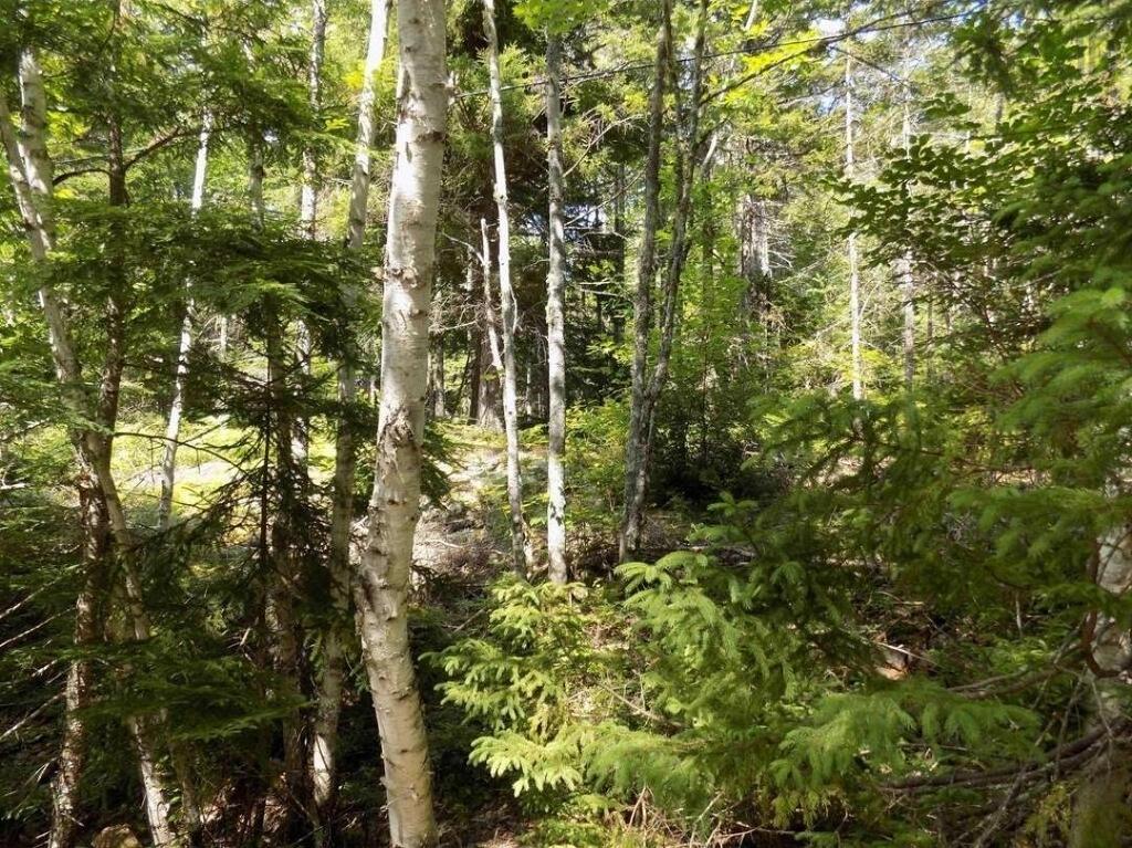 Part Of 50 Sand Cove Road, Westfield, NS