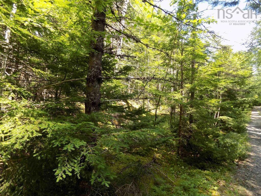 Part Of 50 Sand Cove Road, Westfield, NS