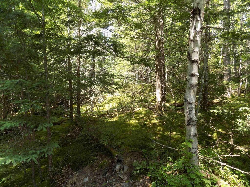 Part Of 50 Sand Cove Road, Westfield, NS