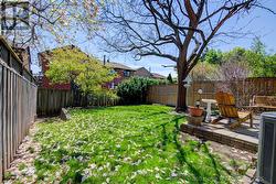 large fenced yard -