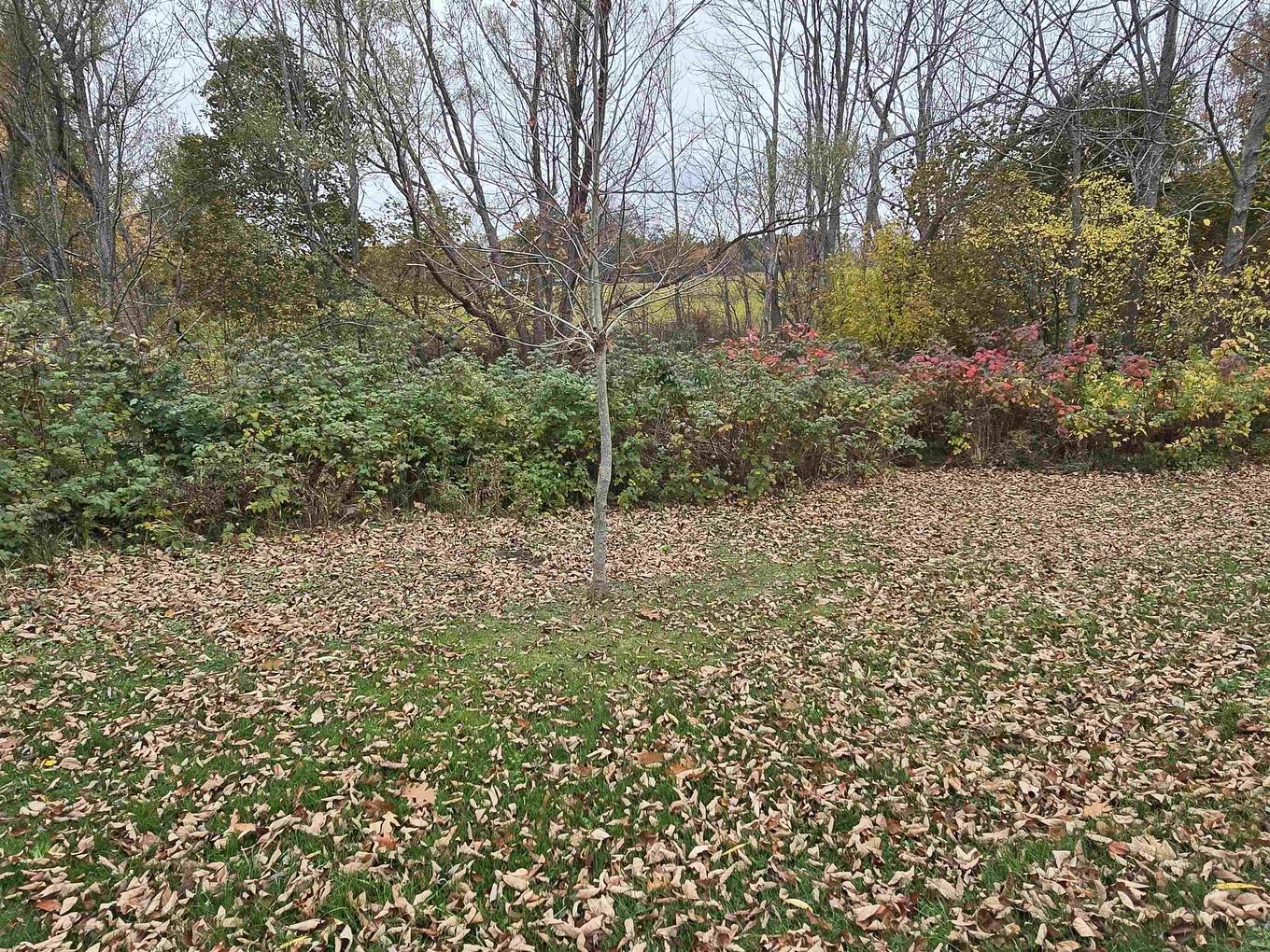 25-1 Weir Avenue, Stellarton, NS