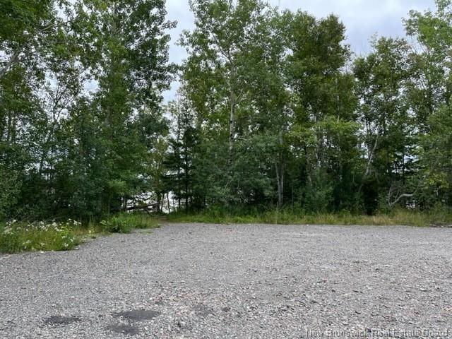 Lot Route 114, Edgetts Landing, NB