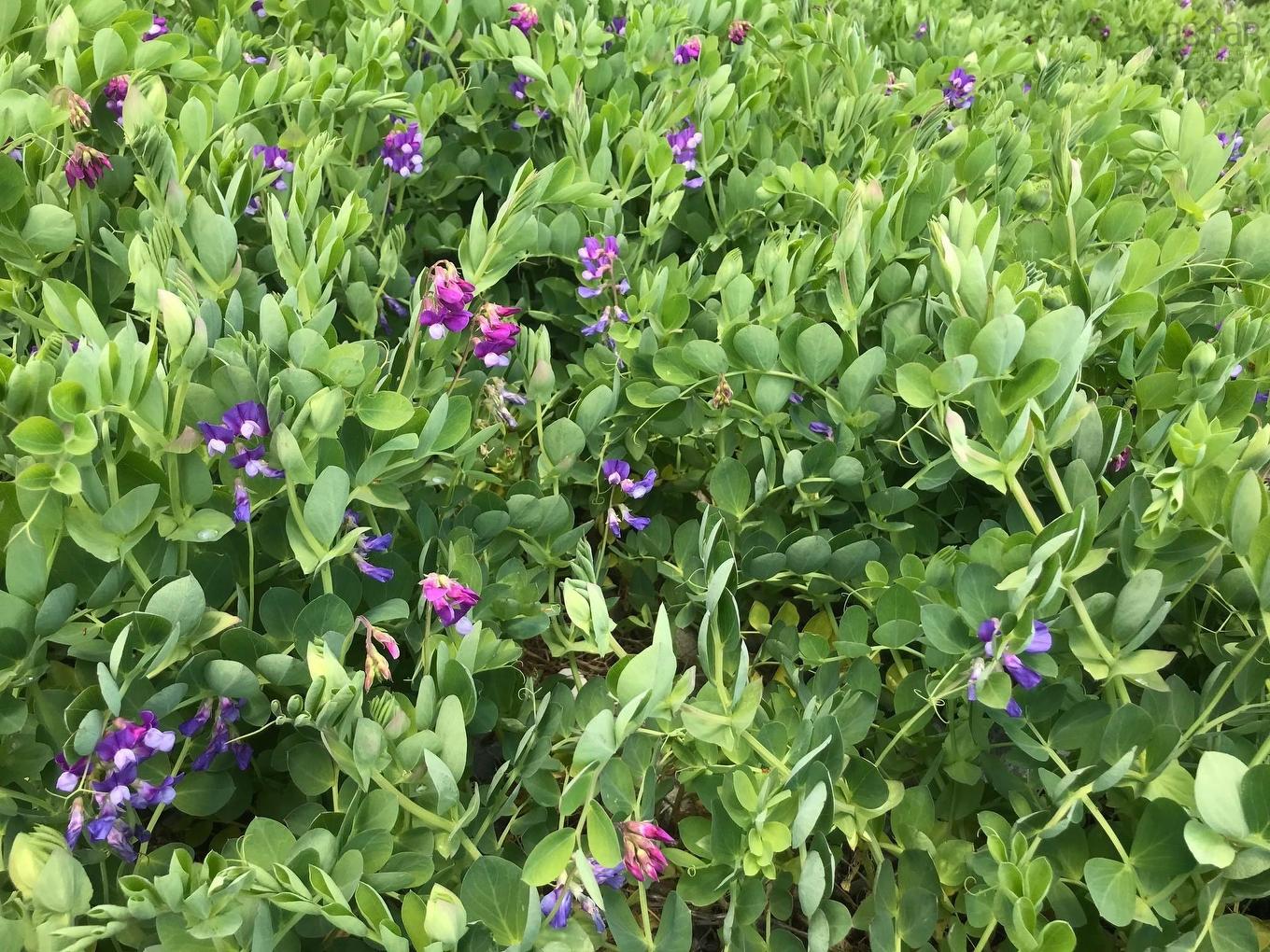 50 Inlet Court, West Quoddy, NS