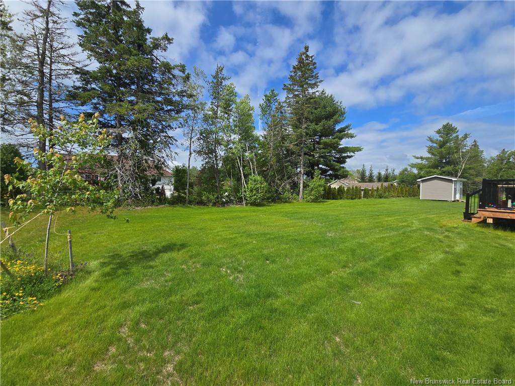 207 Carroll St, Miramichi, NB