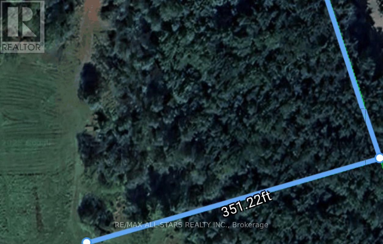 20 1/2 Tate'S Bay Road, Trent Lakes, ON