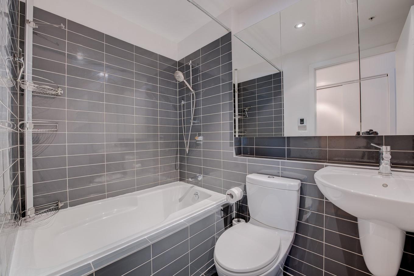 Salle de bains - 107-738 Rue Bourget, Montréal (Le Sud-Ouest), QC - Indoor Photo Showing Bathroom