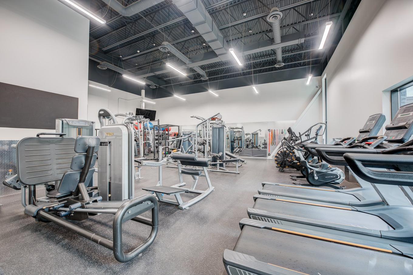 Salle d'exercice - 107-738 Rue Bourget, Montréal (Le Sud-Ouest), QC - Indoor Photo Showing Gym Room