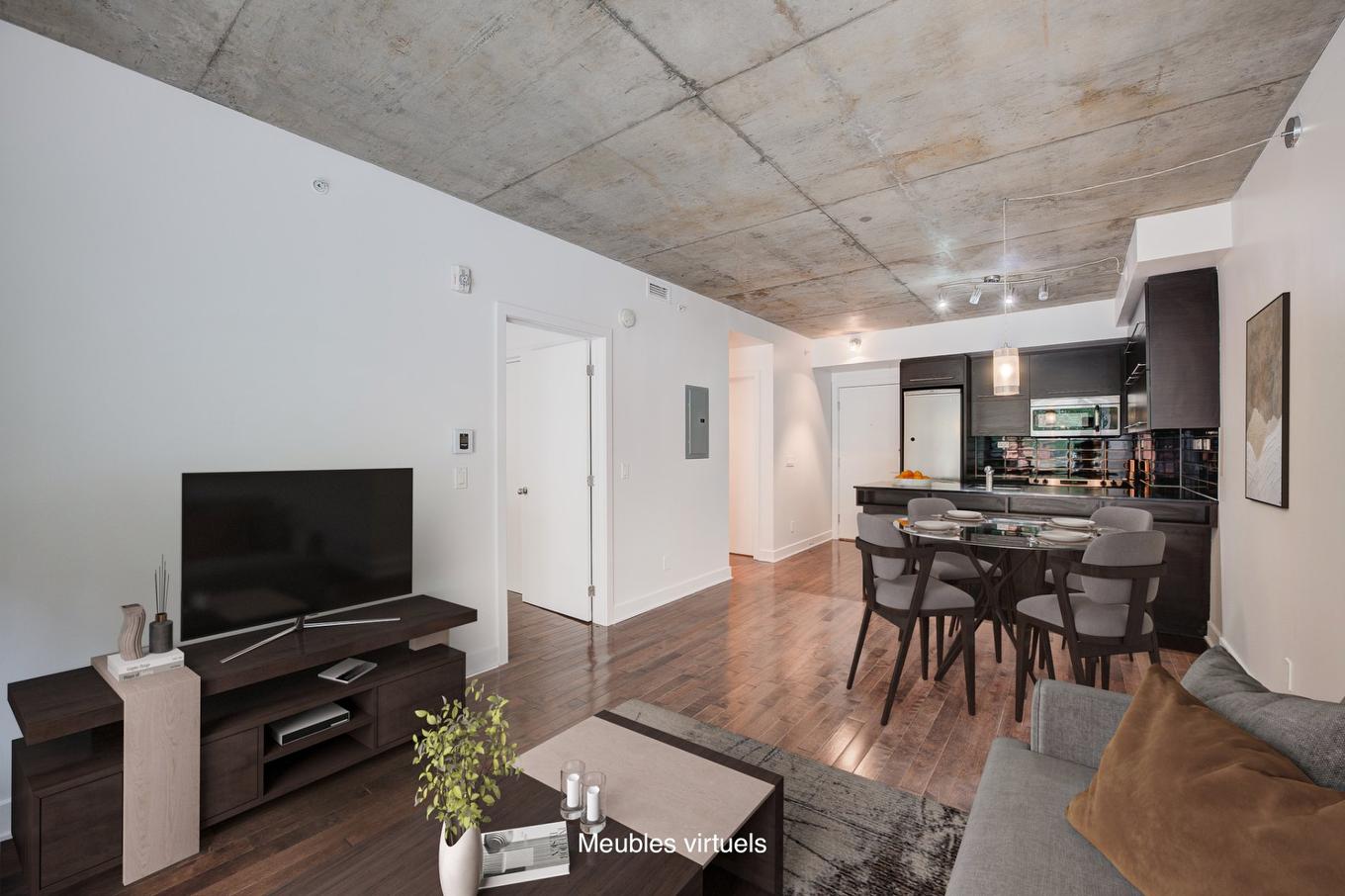 Vue d'ensemble - 107-738 Rue Bourget, Montréal (Le Sud-Ouest), QC - Indoor