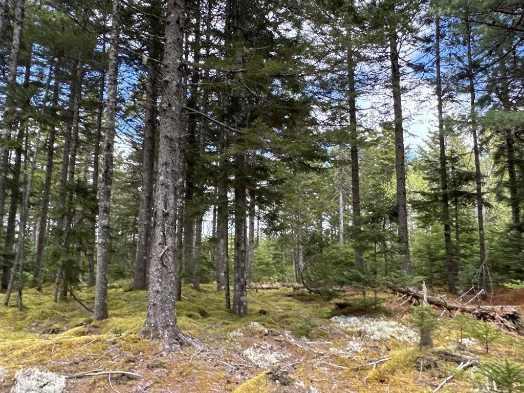 Acreage No 101 Highway, Ardoise, NS