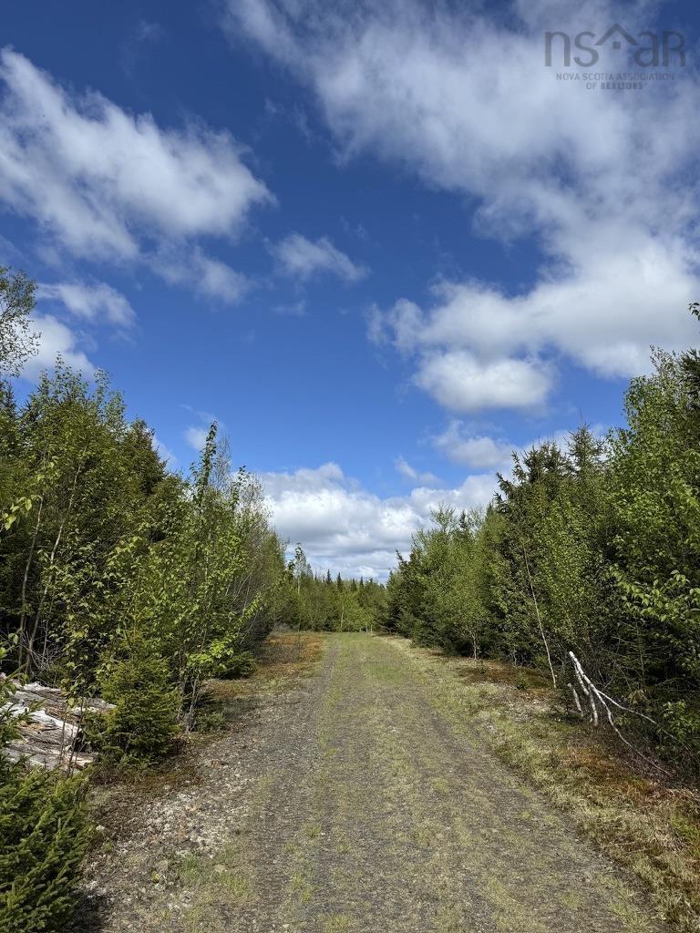 Acreage No 101 Highway, Ardoise, NS
