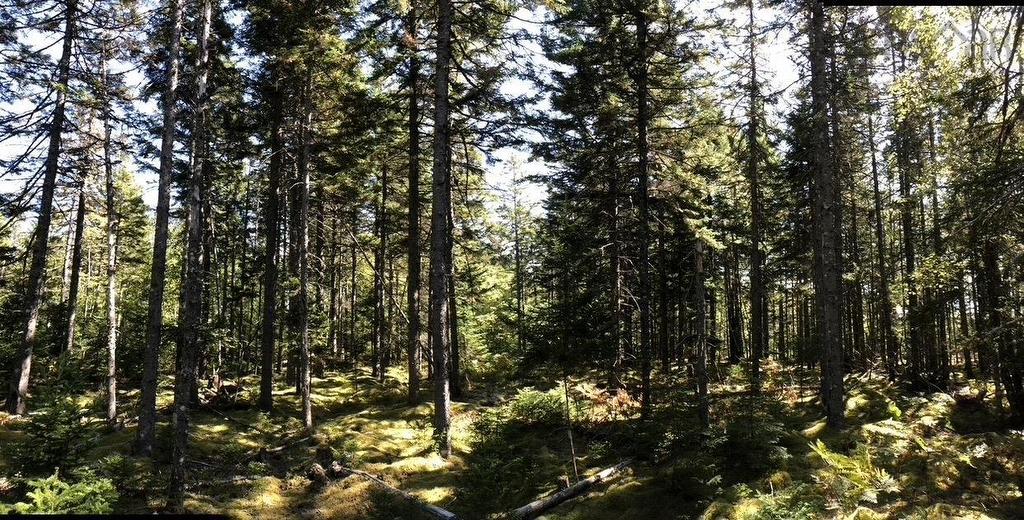 Acreage No 101 Highway, Ardoise, NS