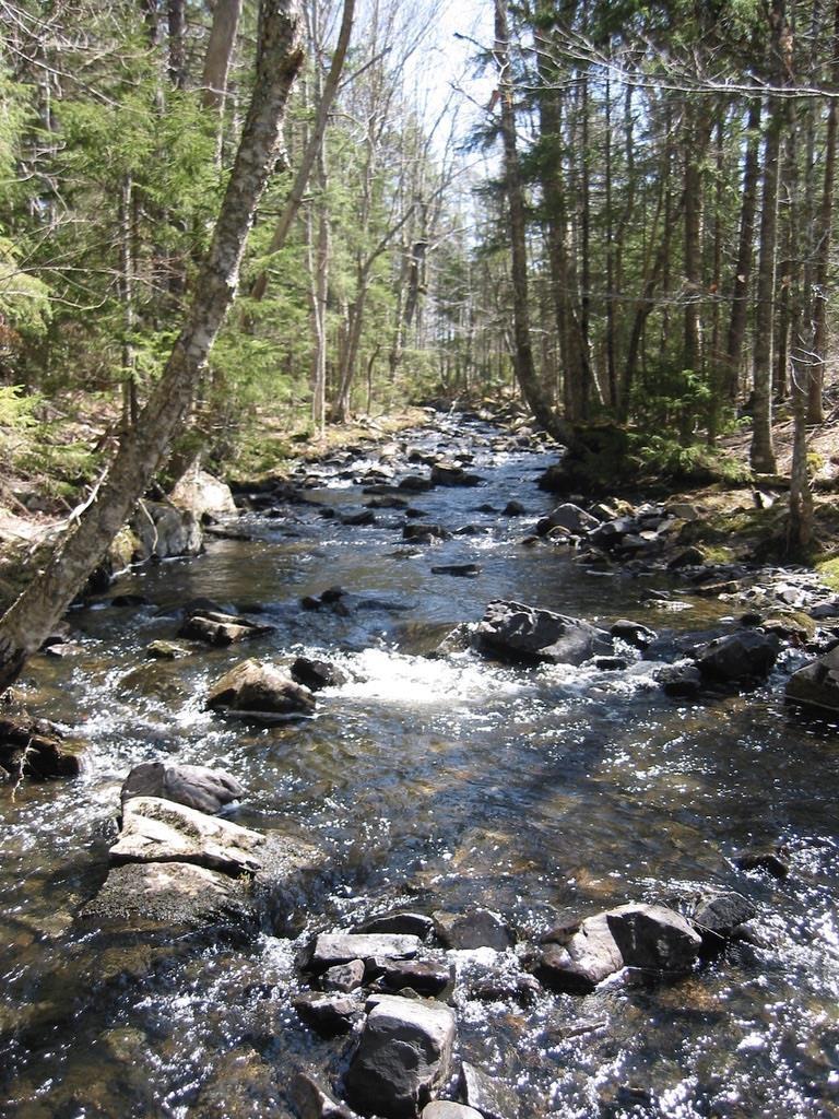 Acreage No 101 Highway, Ardoise, NS