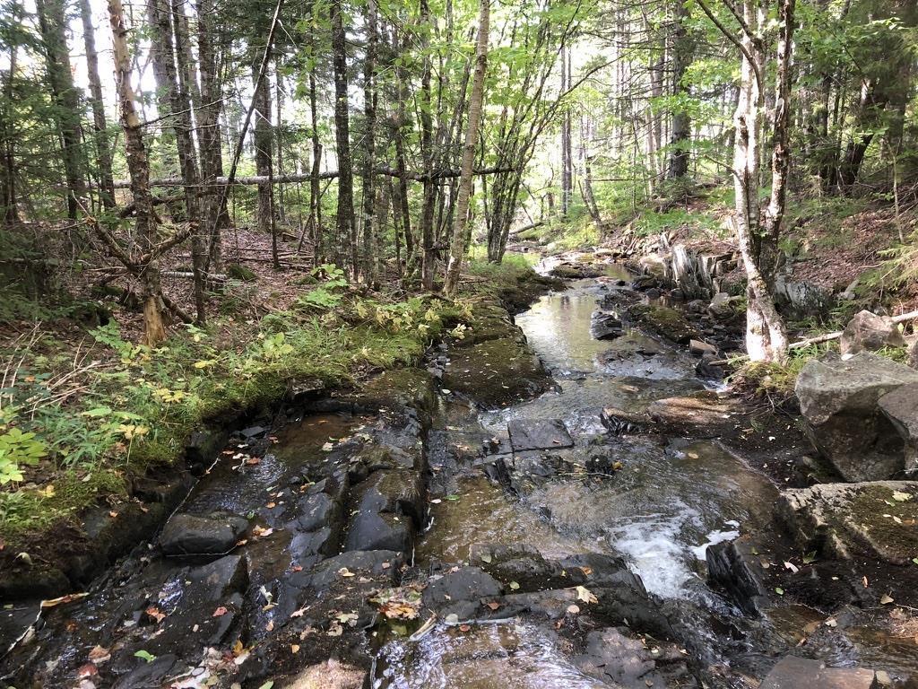 Acreage No 101 Highway, Ardoise, NS