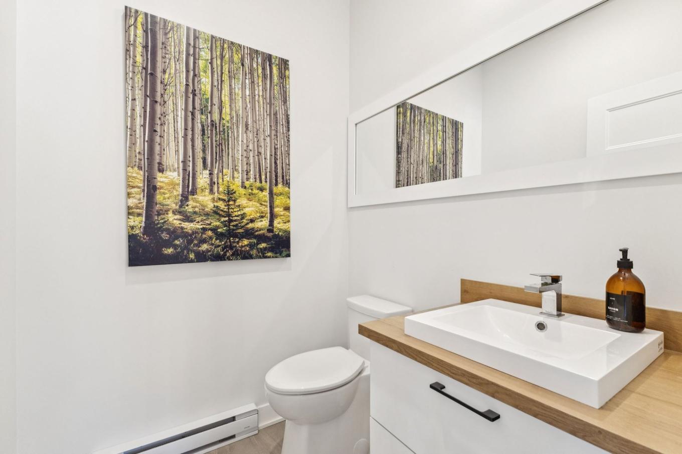 Salle d'eau - 567 Rue Charlie-Forbell, Mont-Tremblant, QC - Indoor Photo Showing Bathroom