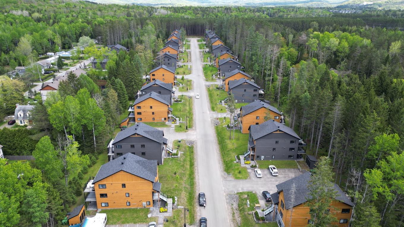 Vue d'ensemble - 567 Rue Charlie-Forbell, Mont-Tremblant, QC - Outdoor With View