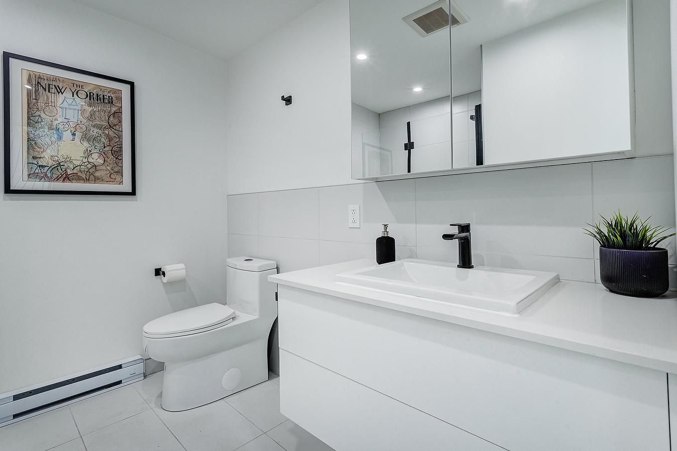 Salle de bains - 301-800 Rue Villeray, Montréal (Villeray/Saint-Michel/Parc-Extension), QC - Indoor Photo Showing Bathroom