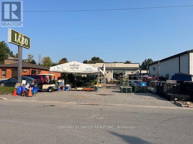 13 Tupper Street S, Cavan Monaghan (Millbrook Village), ON